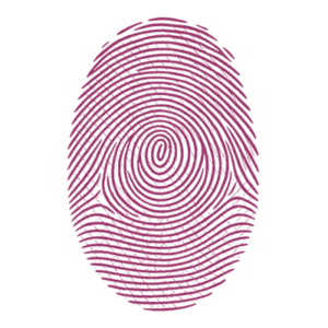 A detailed, purple fingerprint pattern on a white background, symbolising HR Recruitment with distinct ridges and loops forming an oval shape.