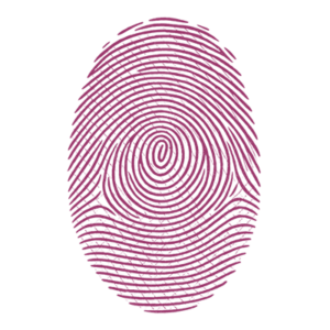A close-up illustration of a purple fingerprint on a white background, showing detailed swirling and ridged patterns commonly used for identification.